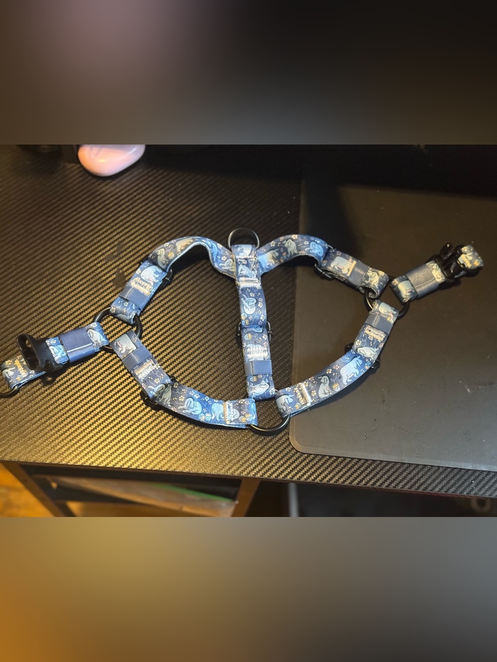 Tags for Hope step in harness
